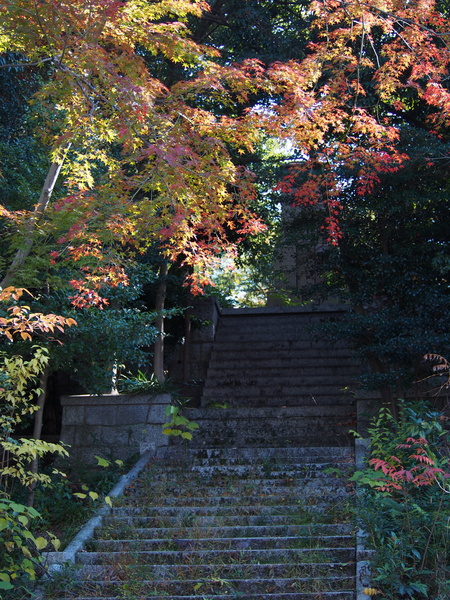 f:id:gzutetsu:20141123125511j:image