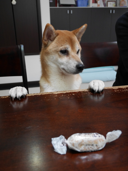 f:id:gzutetsu:20150111144344j:image