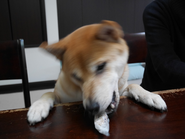 f:id:gzutetsu:20150111144400j:image
