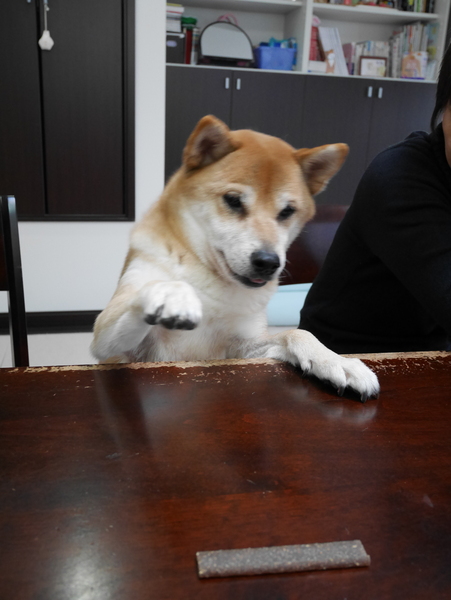 f:id:gzutetsu:20150111145244j:image