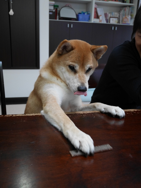 f:id:gzutetsu:20150111145245j:image