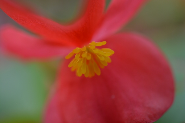 f:id:gzutetsu:20150315123647j:image