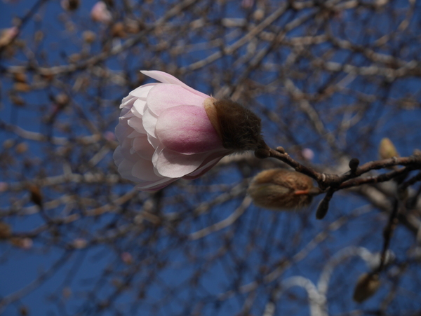 f:id:gzutetsu:20150320083457j:image