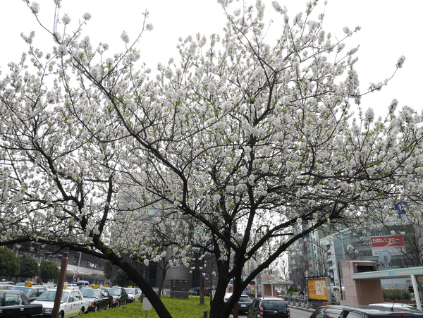 f:id:gzutetsu:20150322110829j:image