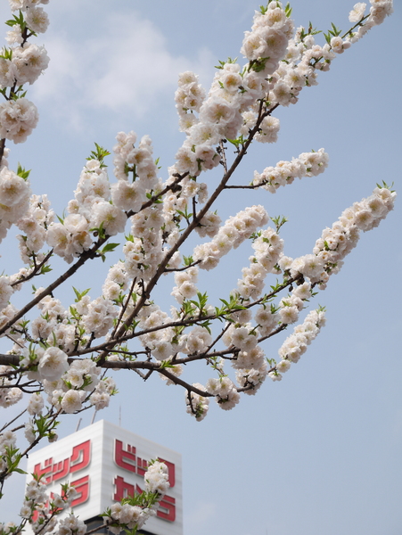 f:id:gzutetsu:20150322111006j:image