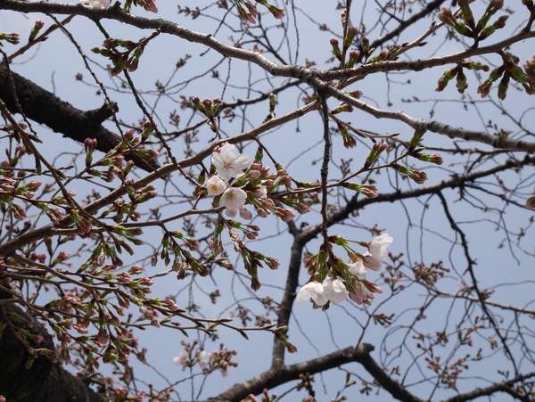 f:id:gzutetsu:20150322115205j:image