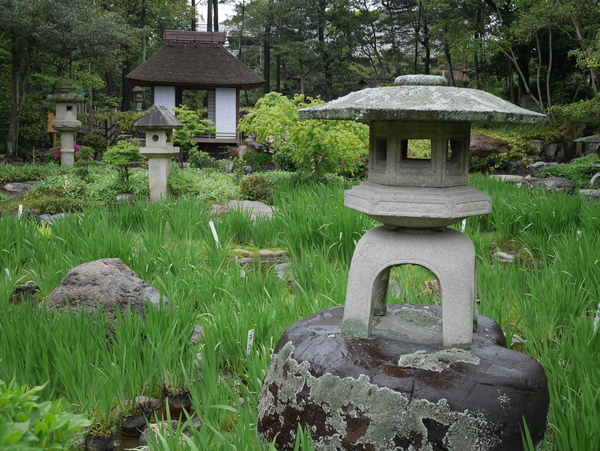 f:id:gzutetsu:20150504141923j:image