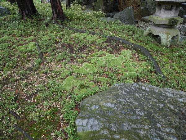 f:id:gzutetsu:20150504142422j:image
