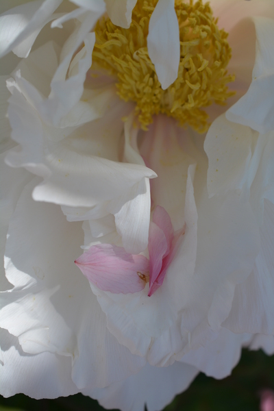 f:id:gzutetsu:20150505120448j:image