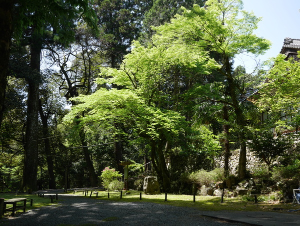 f:id:gzutetsu:20150505124652j:image