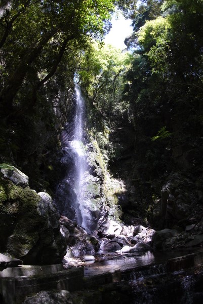 f:id:gzutetsu:20150505131111j:image