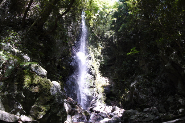 f:id:gzutetsu:20150505131125j:image