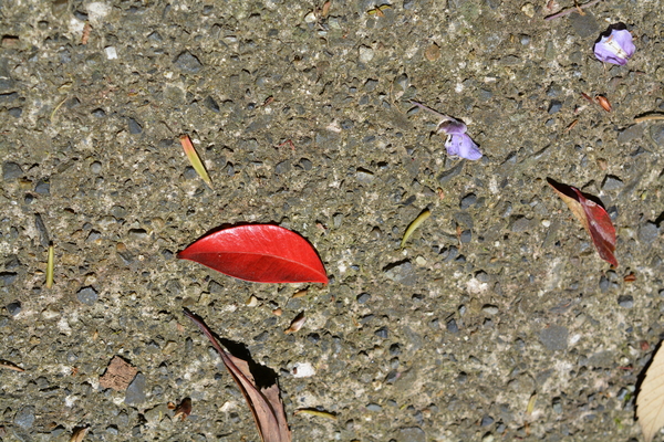 f:id:gzutetsu:20150505131444j:image