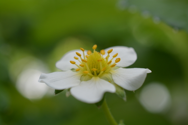 f:id:gzutetsu:20150505153514j:image