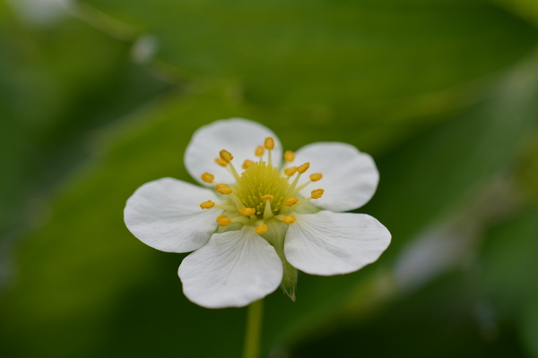 f:id:gzutetsu:20150505154813j:image