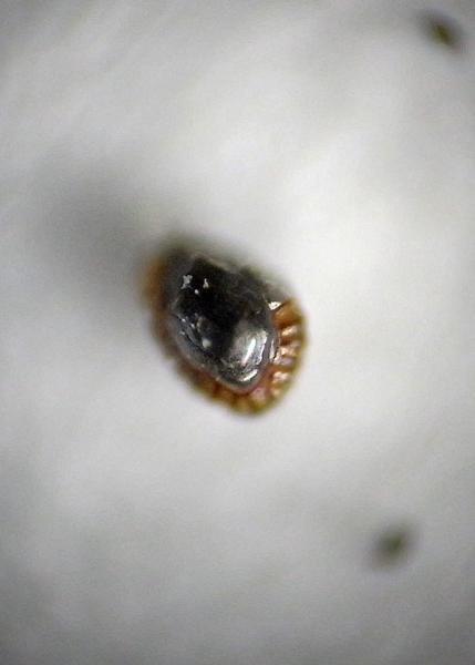 f:id:gzutetsu:20150711165217j:image