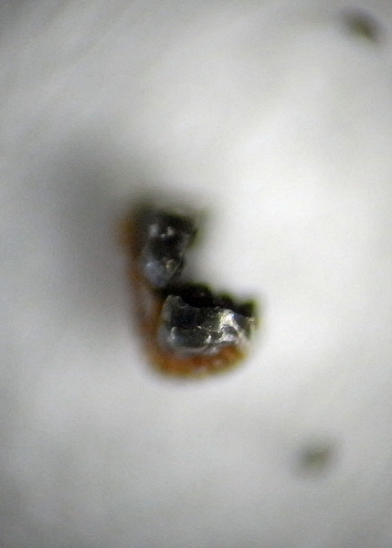 f:id:gzutetsu:20150711165219j:image