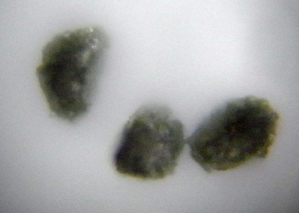 f:id:gzutetsu:20150711165223j:image