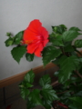 20150718131223
