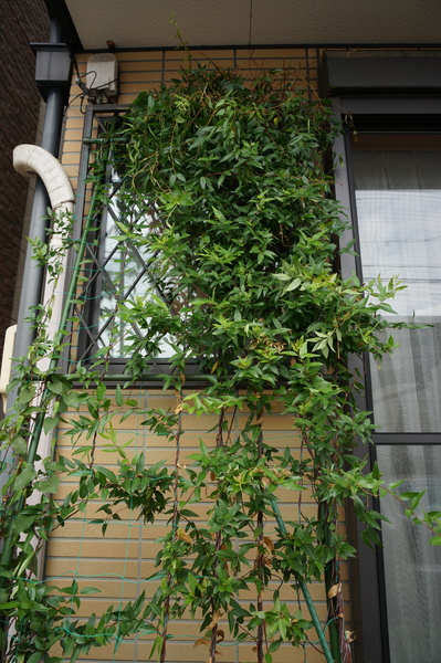 f:id:gzutetsu:20150719125636j:image