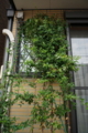 20150719125636