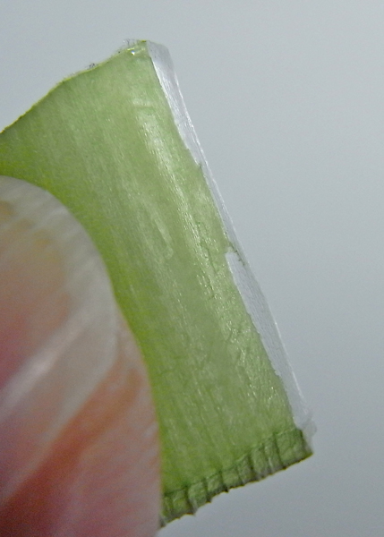 f:id:gzutetsu:20150726163753j:image