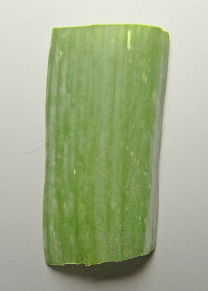 f:id:gzutetsu:20150726163754j:image