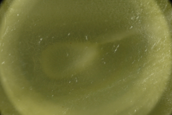 f:id:gzutetsu:20150802173121j:image