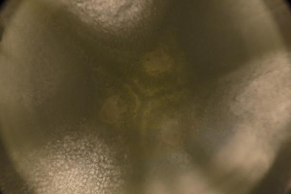 f:id:gzutetsu:20150802174045j:image