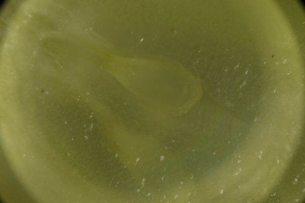 f:id:gzutetsu:20150802174213j:image