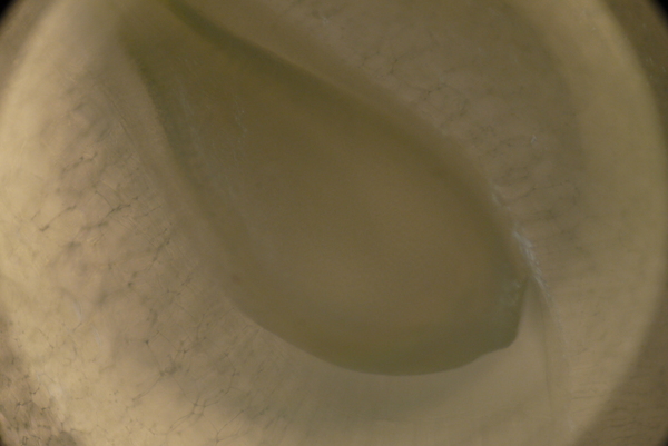 f:id:gzutetsu:20150802174532j:image