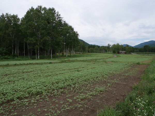 f:id:gzutetsu:20150812130203j:image