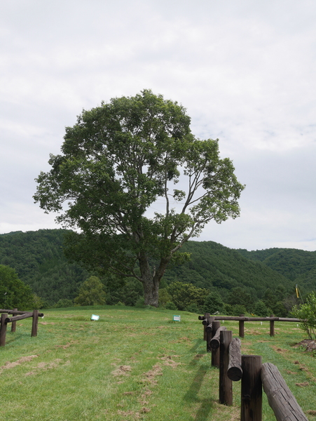 f:id:gzutetsu:20150812131028j:image