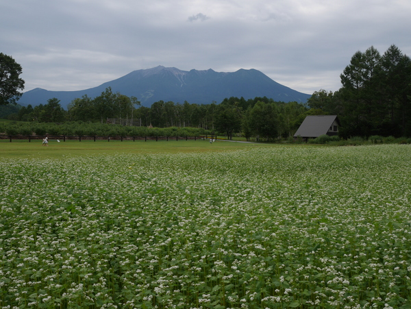 f:id:gzutetsu:20150812131824j:image