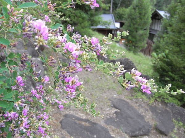 f:id:gzutetsu:20150812135115j:image
