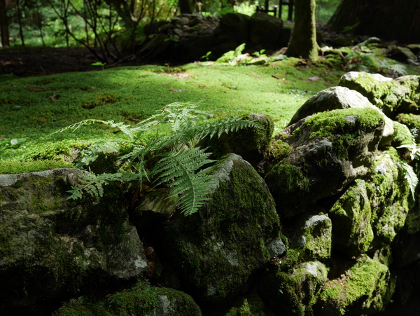 f:id:gzutetsu:20150813144346j:image