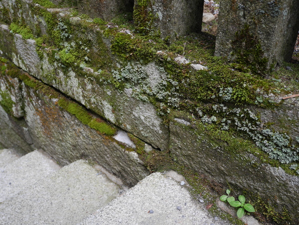 f:id:gzutetsu:20150813145325j:image