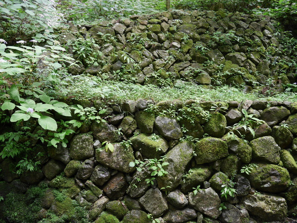 f:id:gzutetsu:20150813145848j:image