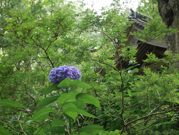 f:id:gzutetsu:20150813152954j:image