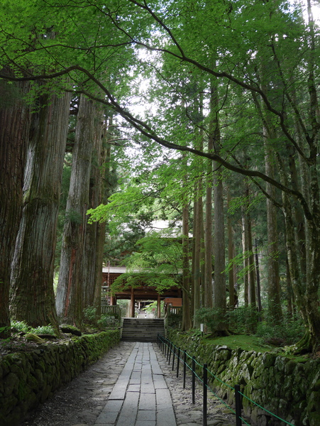 f:id:gzutetsu:20150813153203j:image