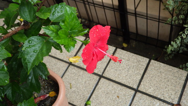 f:id:gzutetsu:20150909080613j:image