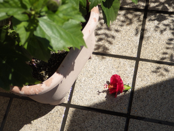 f:id:gzutetsu:20150912100748j:image