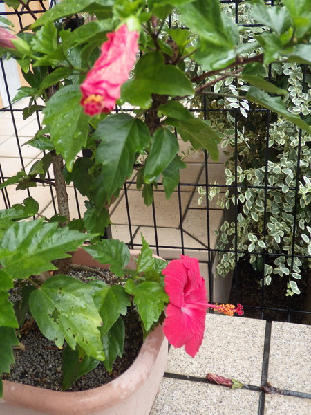 f:id:gzutetsu:20150917080211j:image