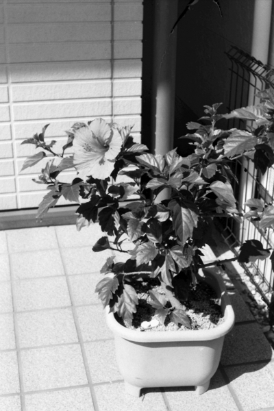 f:id:gzutetsu:20150919230733j:image f:id:gzutetsu:20150919230733j:image