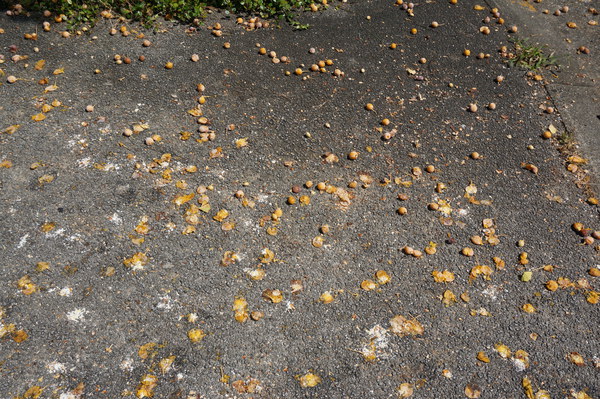 f:id:gzutetsu:20150920112401j:image