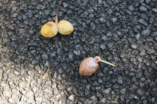 f:id:gzutetsu:20150920113753j:image