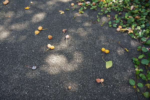 f:id:gzutetsu:20150920113805j:image