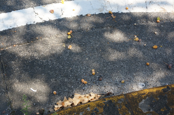 f:id:gzutetsu:20150920113816j:image
