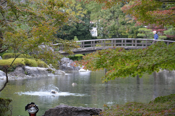 f:id:gzutetsu:20151129123257j:image