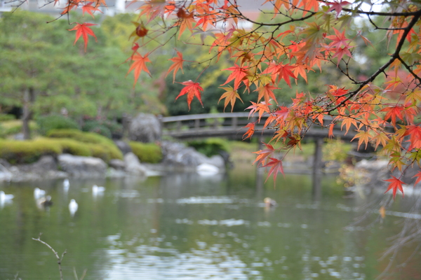 f:id:gzutetsu:20151129123436j:image